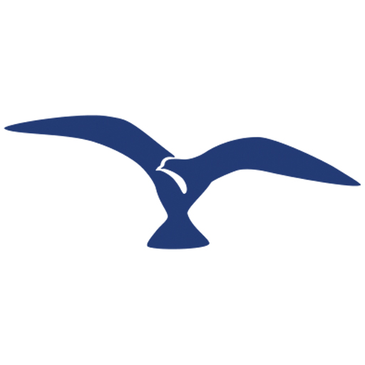 Professor - Globsyn Group